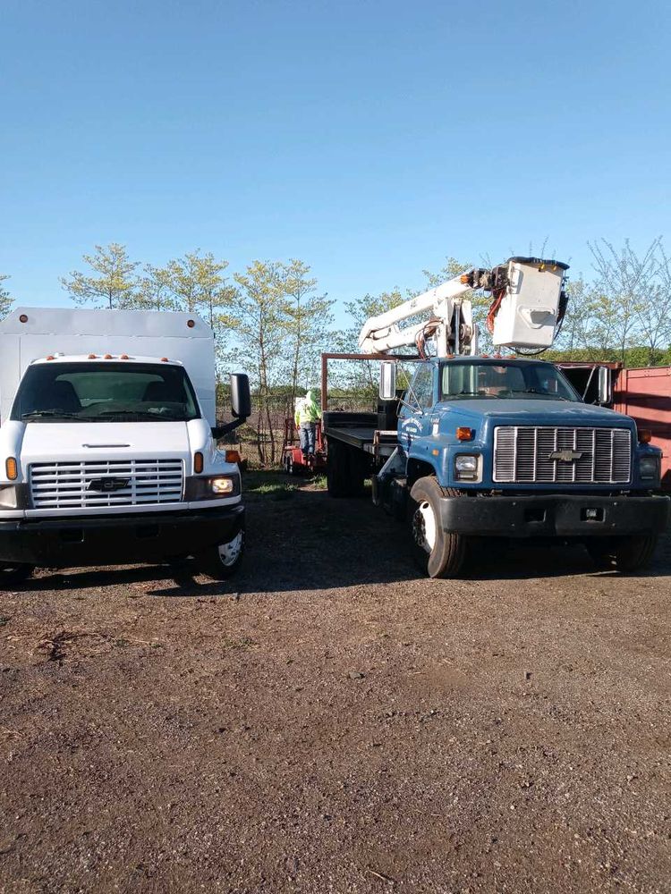 Menb Stump Grinding - tree service in Grand Rapids, MI
