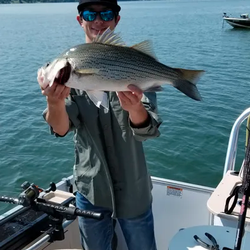 Cherokee Lake Fishing Charter