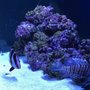 Photo of Aquatica