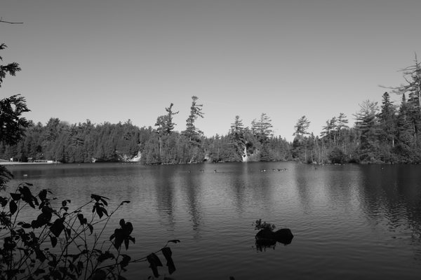 Rockwood Conservation Area by null