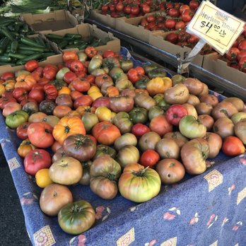 Mountain View Farmers’ Market - Farmers Market Near Me - Mountain View, California Mountain View Farmers’ Market - Farmers Market Near Me - Mountain View, California