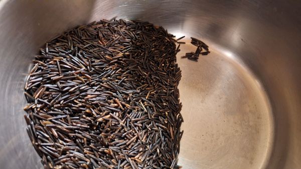 Trader Joe's by null