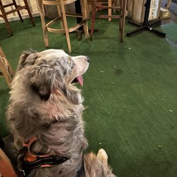 Mo's Place - Dog friendly patio