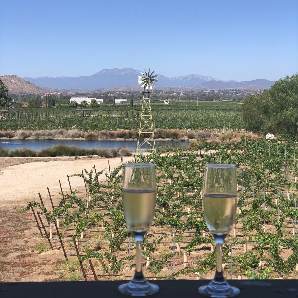 Ponte Vineyard Inn - View from our patio with our free tasting - Hotels Near Me - Temecula, California Ponte Vineyard Inn - View from our patio with our free tasting - Hotels Near Me - Temecula, California