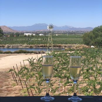 Ponte Vineyard Inn - View from our patio with our free tasting - Hotels Near Me - Temecula, California