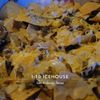 I-10 Icehouse gift card