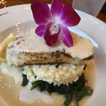 Golden Leaf Bistro - Chilean sea bass - Bars Near Me - Danville, Virginia Golden Leaf Bistro - Chilean sea bass - Bars Near Me - Danville, Virginia