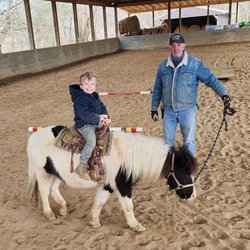 R&M Stables