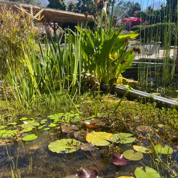 Van Ness Water Gardens - Nurseries & Gardening Near Me - Upland, California