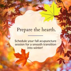 Jean Donati Acupuncture - Prepare your energy for Winter...