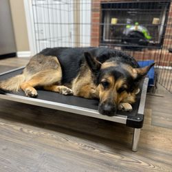 Ross Animal Hospital & rehabilitation Center, PC