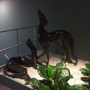 Bestbet Orange Park - Greyhound sculptures - Sushi Bars Near Me - Orange Park, Florida Bestbet Orange Park - Greyhound sculptures - Sushi Bars Near Me - Orange Park, Florida