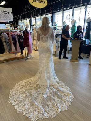 Estelle's Dressy Dresses by null