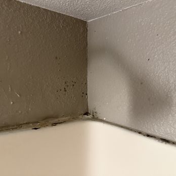 Motel 6 - Mold in shower - Hotels Near Me - Vallejo, California