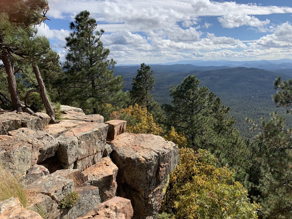 WOODS CANYON LAKE AND SCENIC DRIVE 97 Photos & 24 Reviews