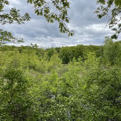 West Bloomfield Trail - No suburbia in sight