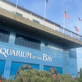 PIER 39 - To the right part of Pier 39 is the Aquarium by the bay. There is a fee to get into this aquarium. - Shopping Centers Near Me - San Francisco, California