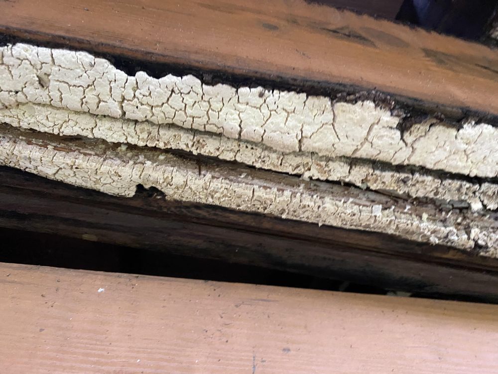 Pillar To Post Home Inspectors - Robert Pecca - mold inspector in Bangor, PA