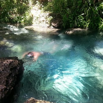 Kelly Park - Hubby swimming in the freezing but so clear springs water. I took the hiking trail and met him on the other end. - Hiking Near Me - Apopka, Florida Kelly Park - Hubby swimming in the freezing but so clear springs water. I took the hiking trail and met him on the other end. - Hiking Near Me - Apopka, Florida
