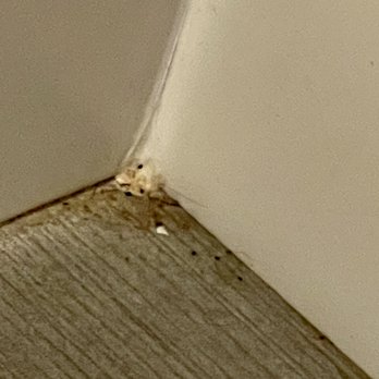 Hampton Inn Pontiac - Bathroom floor - Hotels Near Me - Pontiac, Illinois