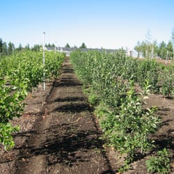 Schultz Farm & Garden