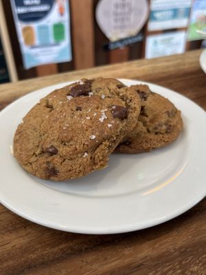 Giddy Sloth Cafe by null