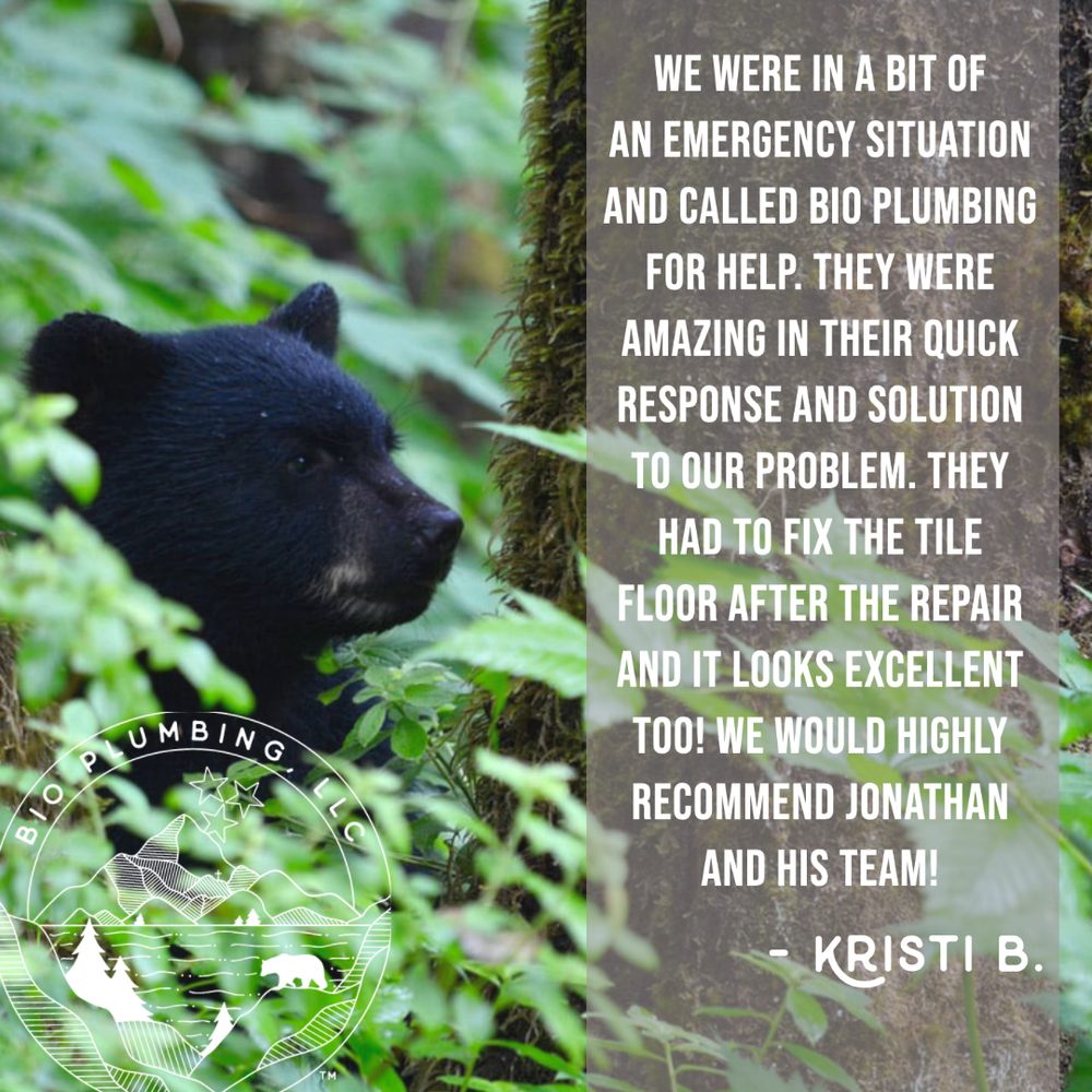 Slide of Bio Plumbing