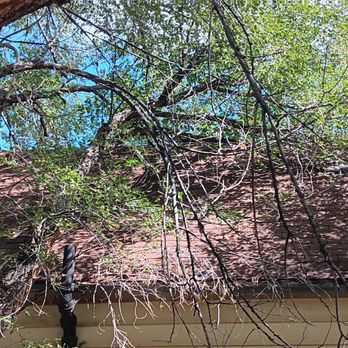 Lee's Trees & More - Tree Services Near Me Lee's Trees & More - Tree Services Near Me