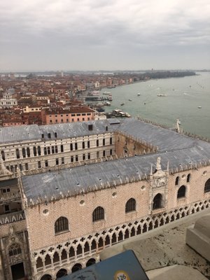 St Mark's Campanile by null