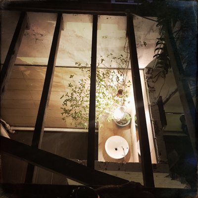 Balin Roofgarden Bistro & Bar by null