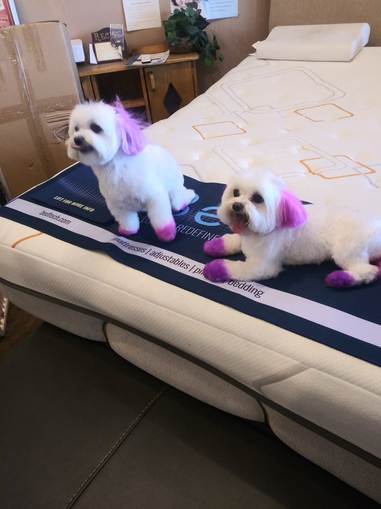 BARNER GROOMING Updated July 2024 5028 W Olive Ave, Glendale