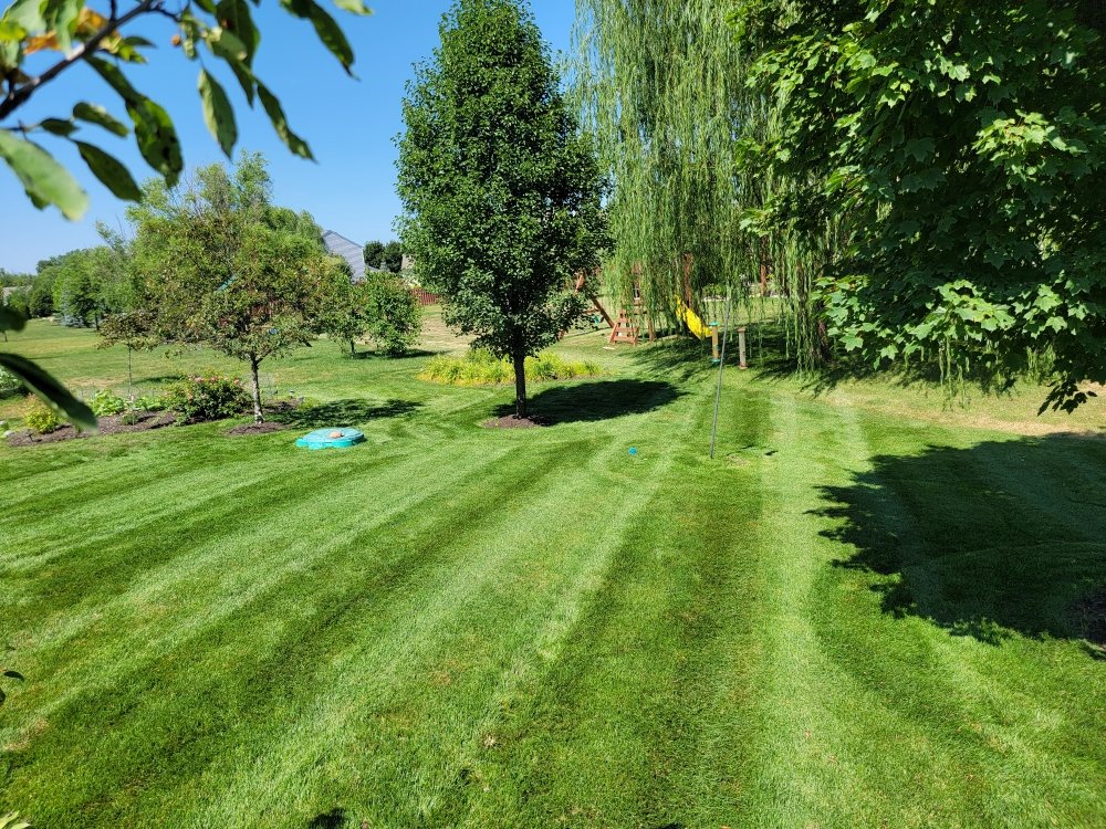 GRATEFUL GRASS LAWN AND LANDSCAPE MAINTENANCE 17 Photos 14269
