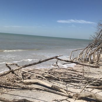 Coconut Kayak Tours - Rafting/Kayaking Near Me - Clearwater Beach, Florida