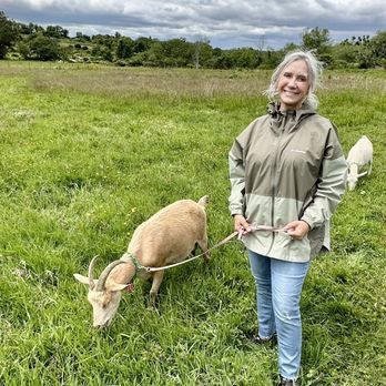 Simmons Family Farm - Goat Hike - Attraction Farms Near Me - Middletown, Rhode Island Simmons Family Farm - Goat Hike - Attraction Farms Near Me - Middletown, Rhode Island