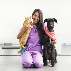 My Pets Wellness