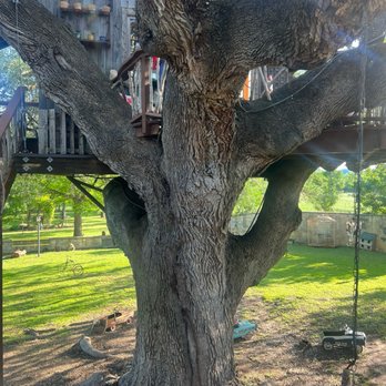 The Laurel Tree - Exterior of Treehouse - Salad Near Me - Utopia, Texas