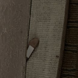 Band aid on the floor of the room Band aid on the floor of the room