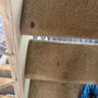 Premier Cleaning