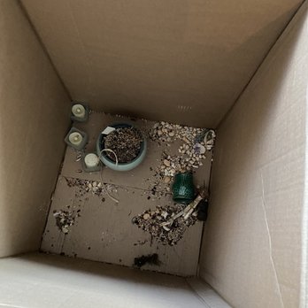 Clutter Storage - they stacked an air mattress on top of my plants - Self Storage Near Me
