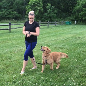 TK-9 Academy - Pet Training Near Me - Elkridge, Maryland