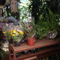 Floricultura Uriel