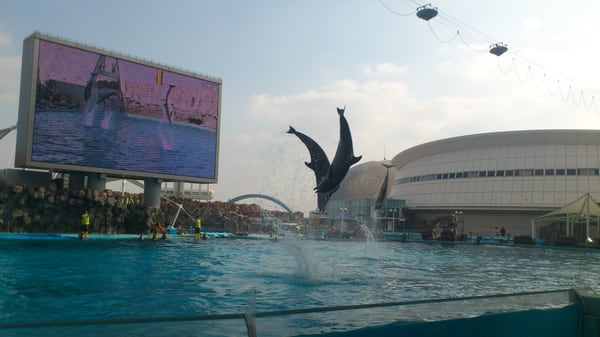 Port Of Nagoya Public Aquarium by null