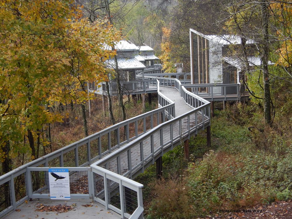 RADNOR LAKE STATE PARK Updated September 2024 778 Photos & 239