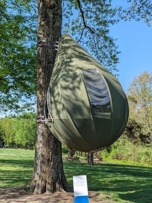 Laumeier Sculpture Park by null