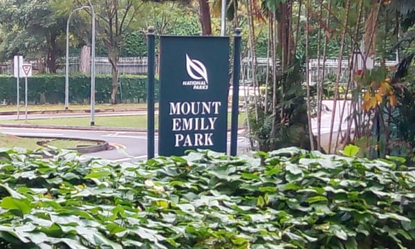 Mount Emily Park by null