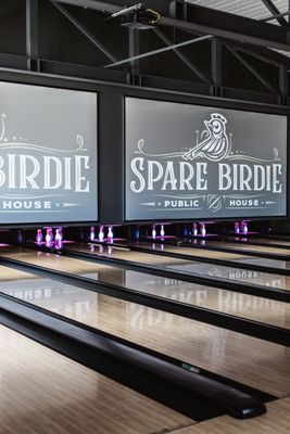 Spare Birdie by null