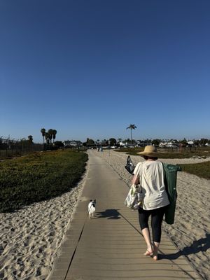 Coronado Dog Beach by null