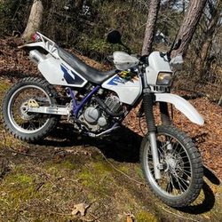 Screamin' Motorsports - Runs so much better because of Screaming Motorsports