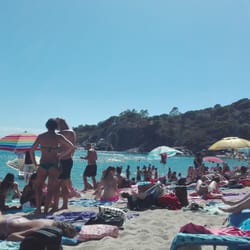 Il Convio di Spinetti Adamo