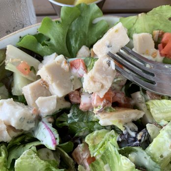 First Watch - Cobb Salad - Breakfast & Brunch Near Me - Champions Gate, Florida First Watch - Cobb Salad - Breakfast & Brunch Near Me - Champions Gate, Florida